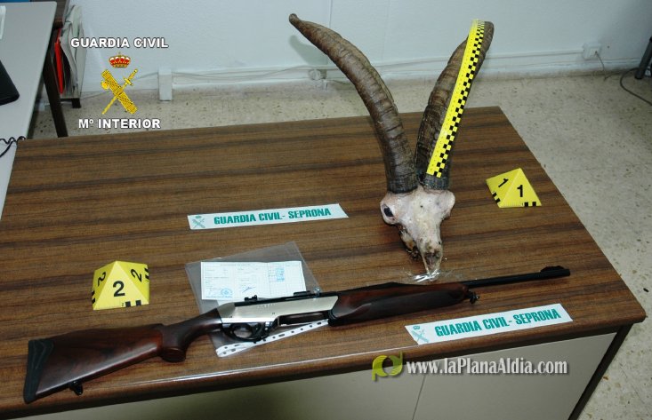 Detenidos por cazar un ejemplar de cabra montés en la Partida 'La Ferradura'